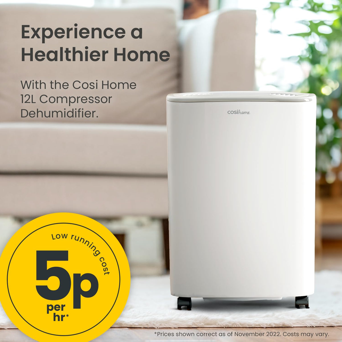 Cosi Home 12L/Day Dehumidifier