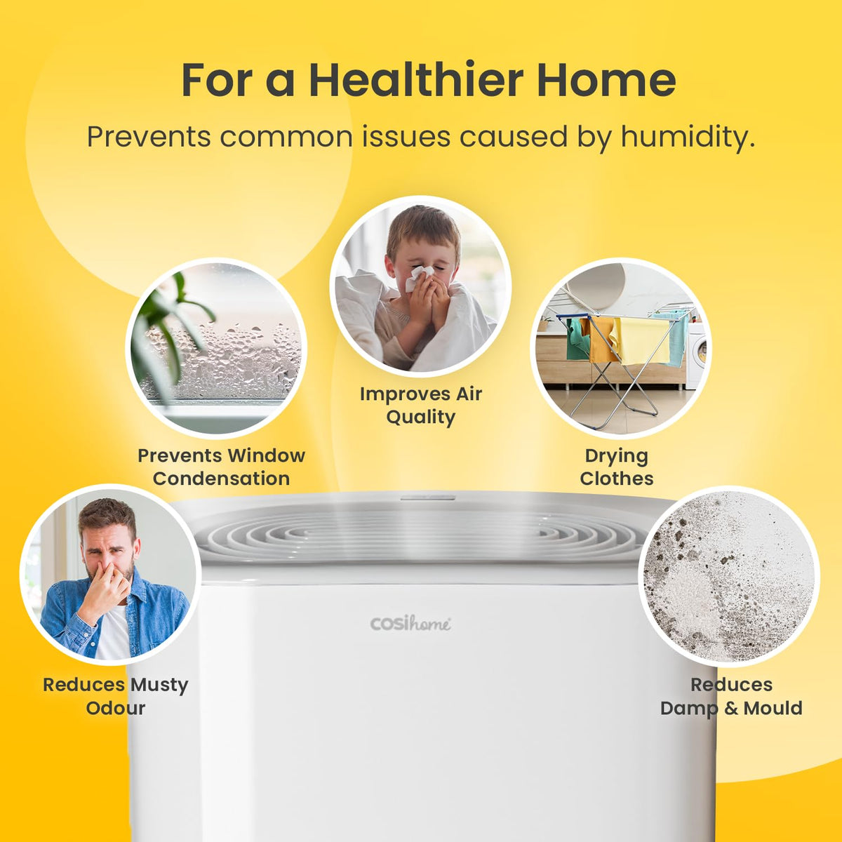 Cosi Home 12L/Day Dehumidifier
